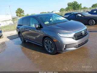 HONDA HONDA ODYSSEY ELITE