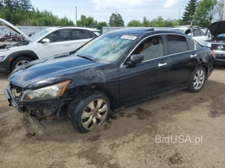 HONDA ACCORD EXL EXL