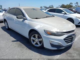 CHEVROLET CHEVROLET MALIBU 1FL