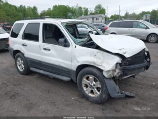 FORD FORD ESCAPE XLT/XLT SPORT