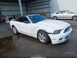 FORD FORD MUSTANG V6