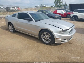 FORD FORD MUSTANG V6