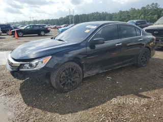 HONDA ACCORD EXL EXL