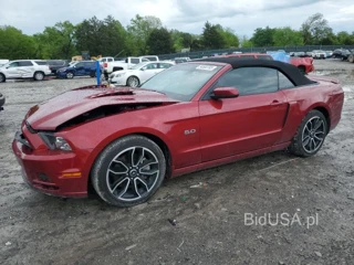 FORD MUSTANG GT GT