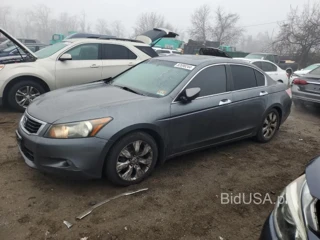 HONDA ACCORD EXL EXL