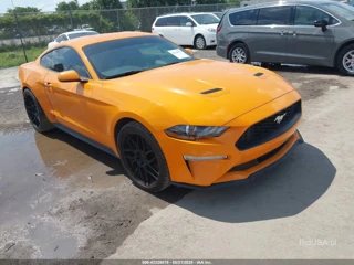 FORD FORD MUSTANG ECOBOOST