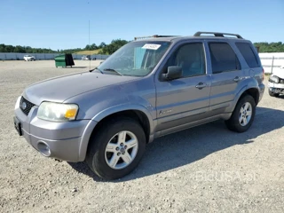 FORD ESCAPE HEV HEV