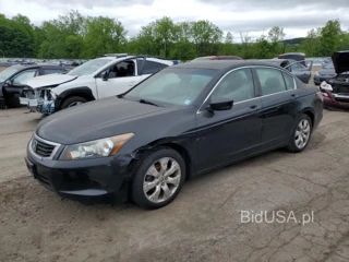 HONDA ACCORD EXL EXL