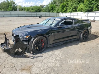 FORD MUSTANG SH SHELBY GT500
