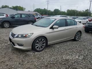 HONDA ACCORD SPO SPORT