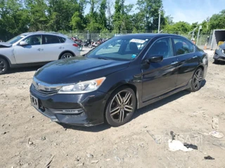 HONDA ACCORD SPO SPORT