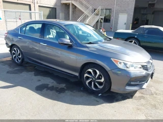 HONDA HONDA ACCORD EX-L V6