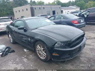 FORD FORD MUSTANG V6 PREMIUM