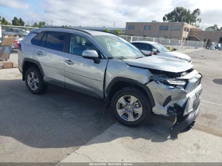 TOYOTA TOYOTA RAV4 XLE
