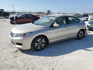 HONDA ACCORD LX LX
