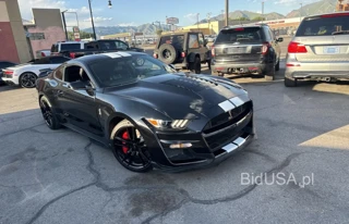 FORD MUSTANG SH SHELBY GT500