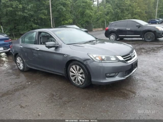 HONDA HONDA ACCORD EX-L