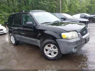FORD FORD ESCAPE XLT/XLT SPORT
