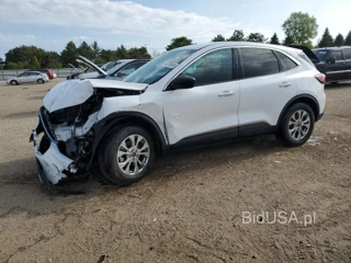 FORD ESCAPE ACT ACTIVE
