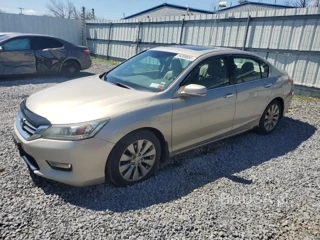 HONDA ACCORD EXL EXL