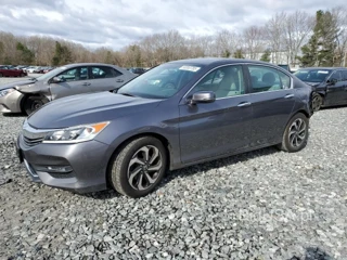 HONDA ACCORD EX EX