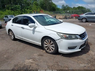 HONDA HONDA ACCORD EX-L V-6