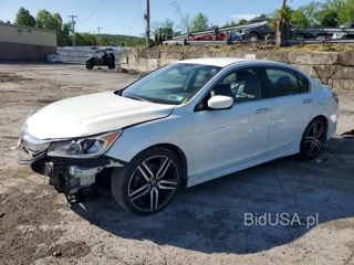 HONDA ACCORD SPO SPORT SPECIAL EDITION