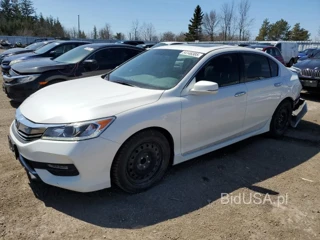 HONDA ACCORD SPO SPORT
