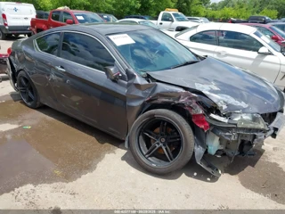 HONDA HONDA ACCORD EX-L V-6