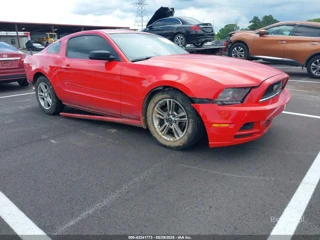 FORD FORD MUSTANG V6