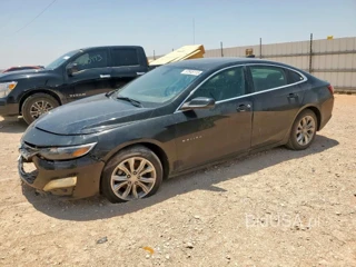 CHEVROLET MALIBU LT LT