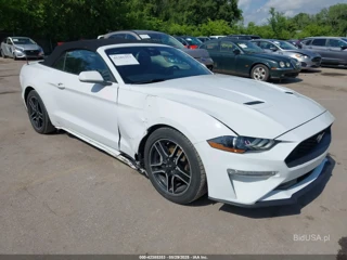 FORD FORD MUSTANG ECOBOOST PREMIUM