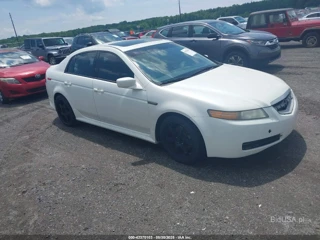 ACURA ACURA TL