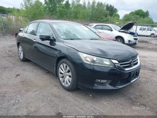 HONDA HONDA ACCORD EX-L V-6