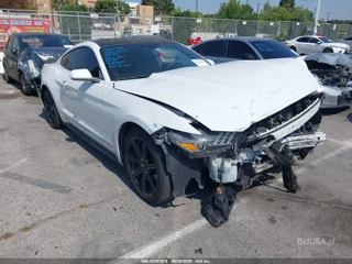 FORD FORD MUSTANG ECOBOOST