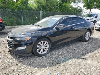 CHEVROLET MALIBU LT LT