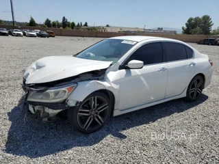 HONDA ACCORD SPO SPORT