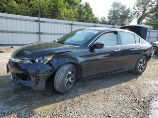 HONDA ACCORD LX LX