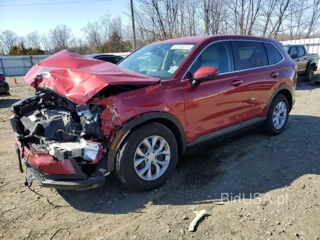 HONDA CR-V LX LX