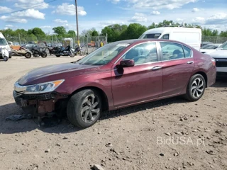 HONDA ACCORD EXL EXL