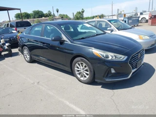 HYUNDAI HYUNDAI SONATA SE