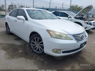 LEXUS LEXUS ES 350