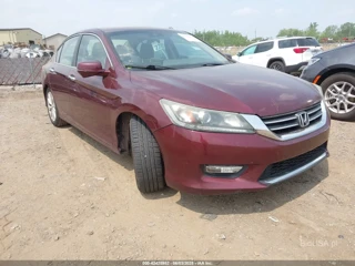 HONDA HONDA ACCORD EX-L
