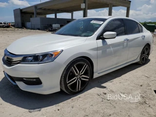 HONDA ACCORD SPO SPORT SPECIAL EDITION