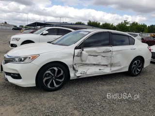 HONDA ACCORD EX EX