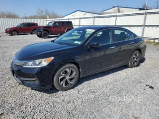 HONDA ACCORD LX LX