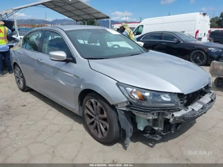 HONDA HONDA ACCORD SPORT