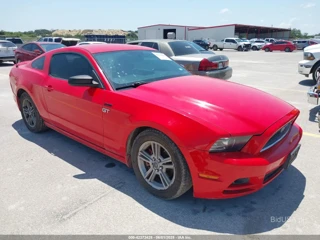 FORD FORD MUSTANG V6