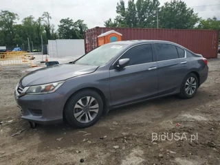 HONDA ACCORD LX LX