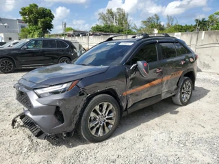 TOYOTA RAV4 XLE P XLE PREMIUM